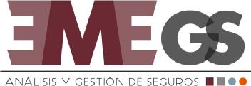 Imagen de EMEGS ANALISIS Y GESTION DE SEGUROS