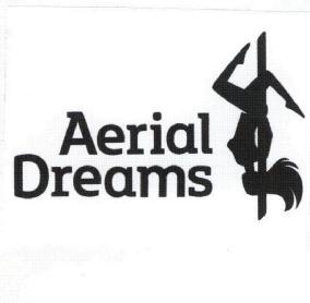 Imagen de AERIAL DREAMS