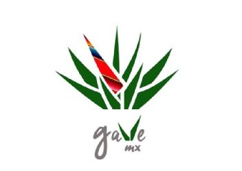 Imagen de GAVE MX