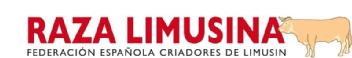 Imagen de RAZA LIMUSINA FEDERACION ESPAÑOLA DE CRIADORES LIMUSIN
