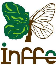 Imagen de INFFE