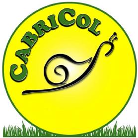 Imagen de CABRICOL