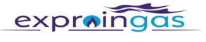 Imagen de EXPROINGAS
