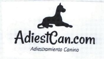 Imagen de ADIESTCAN.COM ADIESTRAMIENTO CANINO