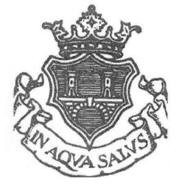Imagen de IN AQUA SALUS