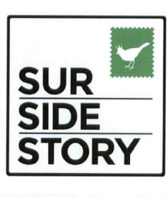 Imagen de SUR SIDE STORY