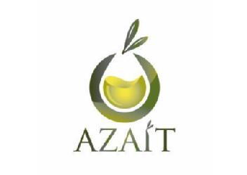 Imagen de AZAIT