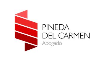 Imagen de PINEDA DEL CARMEN ABOGADO