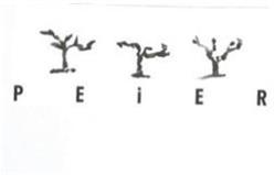 Imagen de PEIER