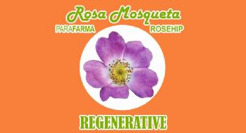 Imagen de ROSA MOSQUETA PARAFARMA ROSEHIP REGENERATIVE
