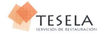 Imagen de TESELA SERVICIOS DE RESTAURACION
