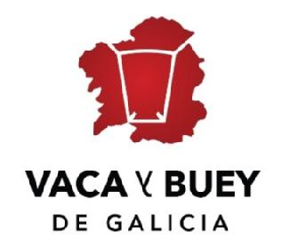 Imagen de VACA Y BUEY DE GALICIA