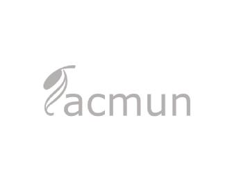 Imagen de TACMUN