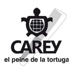 Imagen de CAREY, EL PEINE DE LA TORTUGA
