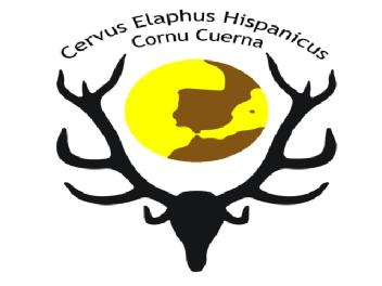 Imagen de CERVUS ELAPHUS HISPANICUS CORNU CUERNA