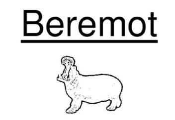 Imagen de BEREMOT