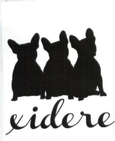 Imagen de XIDERE