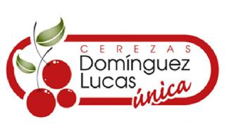 Imagen de CEREZAS DOMINGUEZ LUCAS UNICA