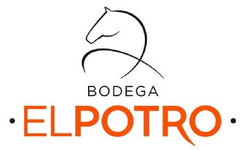 Imagen de BODEGA EL POTRO