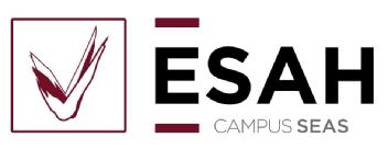 Imagen de ESAH CAMPUS SEAS