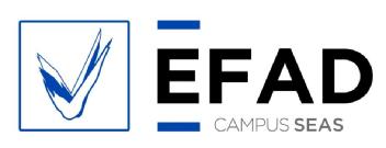 Imagen de EFAD CAMPUS SEAS