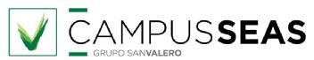 Imagen de CAMPUS SEAS GRUPO SAN VALERO