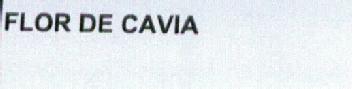 Imagen de FLOR DE CAVIA