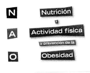 Imagen de NAO NUTRICION ACTIVIDAD FISICA Y PREVENCION DE LA OBESIDAD