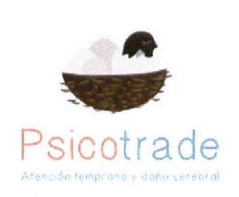 Imagen de PSICOTRADE ATENCION TEMPRANA Y DAÑO CEREBRAL