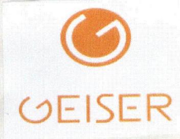 Imagen de G GEISER