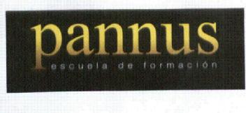 Imagen de PANNUS ESCUELA DE FORMACION