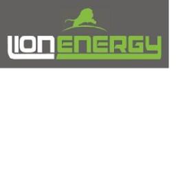 Imagen de LION ENERGY