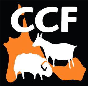 Imagen de CCF