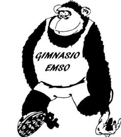 Imagen de GIMNASIO EMSO