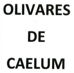 Imagen de OLIVARES DE CAELUM