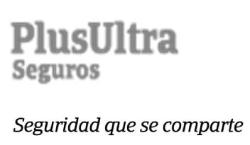 Imagen de PLUS ULTRA SEGUROS SEGURIDAD QUE SE COMPARTE