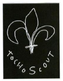Imagen de TOCHO SCOUT