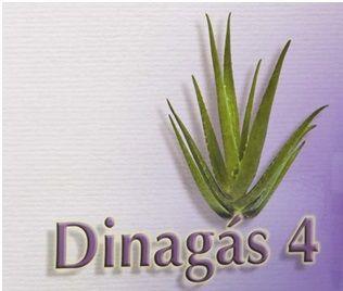 Imagen de DINAGÁS 4