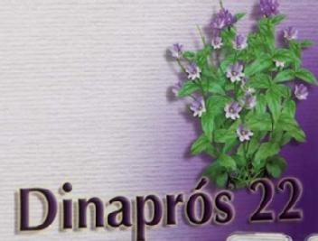 Imagen de DINAPROS 22