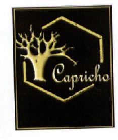 Imagen de CAPRICHO