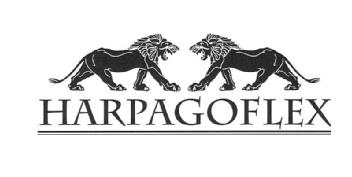 Imagen de HARPAGOFLEX