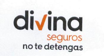 Imagen de DIVINA SEGUROS NO TE DETENGAS