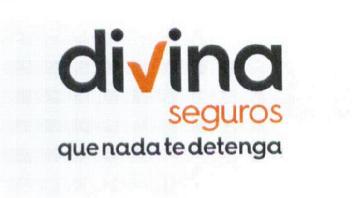 Imagen de DIVINA SEGUROS QUE NADA TE DETENGA