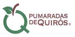 Imagen de PUMARADAS DE QUIROS