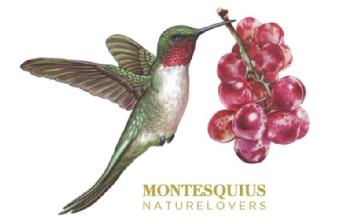 Imagen de MONTESQUIUS NATURELOVERS