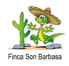 Imagen de FINCA SON BARBASA
