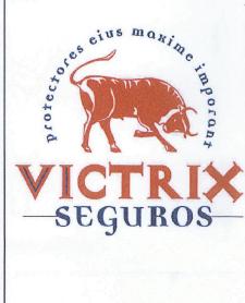 Imagen de VICTRIX SEGUROS PROTECTORES EIUS MAXIME IMPORANT
