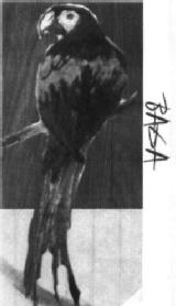Imagen de BAGA
