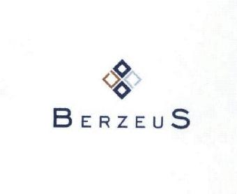 Imagen de BERZEUS