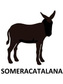 Imagen de SOMERACATALANA